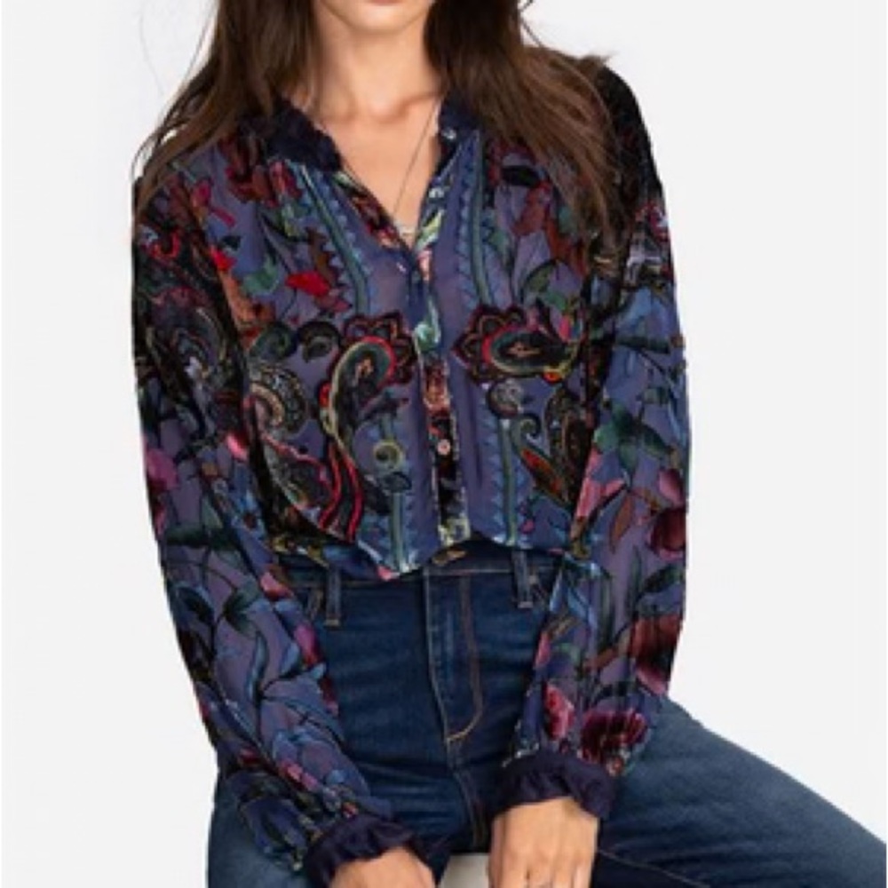 Johnny Was Clara Burnout Leda Shirt Embroidered Velvet blouse NWT - Picture 6 of 17